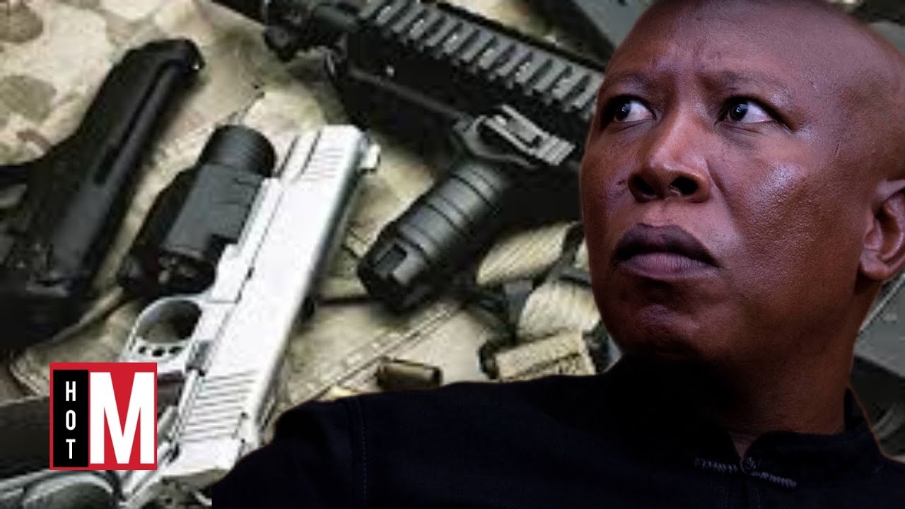 Julius Malema Pleads Not Guilty In Firearm Discharge Trial South Africa Rich And Famous